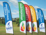 Flags - Image 3